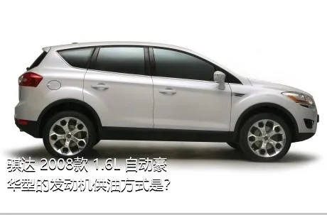 骐达 2008款 1.6L 自动豪华型的发动机供油方式是？