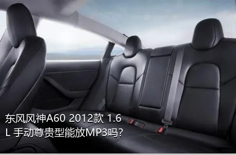 东风风神A60 2012款 1.6L 手动尊贵型能放MP3吗？