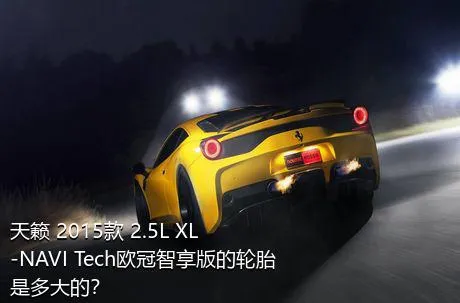 天籁 2015款 2.5L XL-NAVI Tech欧冠智享版的轮胎是多大的？