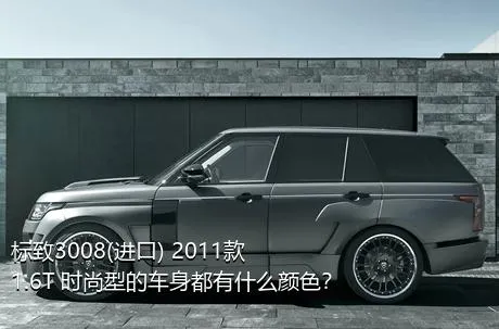 标致3008(进口) 2011款 1.6T 时尚型的车身都有什么颜色？