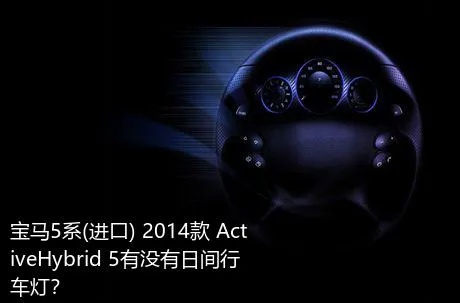 宝马5系(进口) 2014款 ActiveHybrid 5有没有日间行车灯？