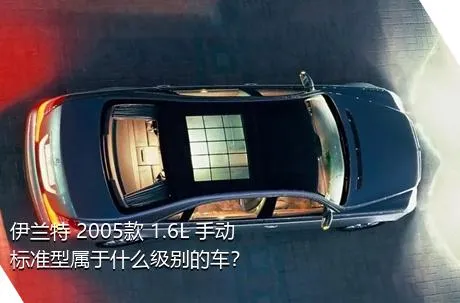 伊兰特 2005款 1.6L 手动标准型属于什么级别的车？