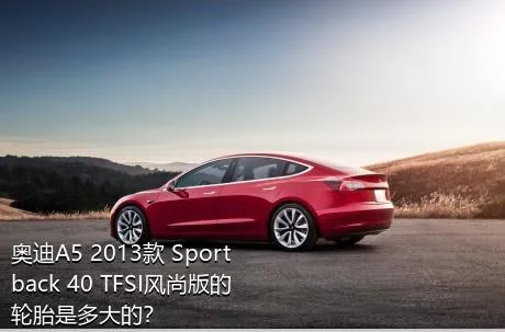 奥迪A5 2013款 Sportback 40 TFSI风尚版的轮胎是多大的？