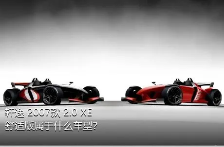 轩逸 2007款 2.0 XE 舒适版属于什么车型？