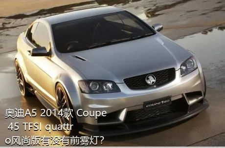 奥迪A5 2014款 Coupe 45 TFSI quattro风尚版有没有前雾灯？