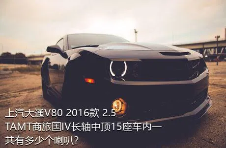 上汽大通V80 2016款 2.5TAMT商旅国IV长轴中顶15座车内一共有多少个喇叭？