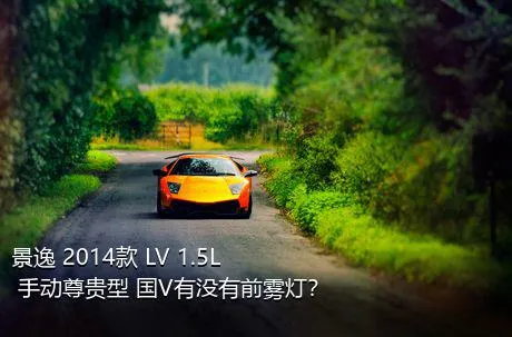 景逸 2014款 LV 1.5L 手动尊贵型 国V有没有前雾灯？