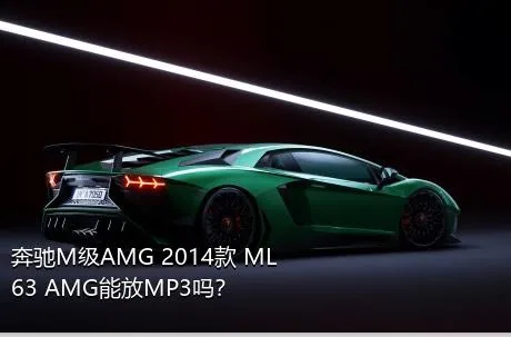 奔驰M级AMG 2014款 ML 63 AMG能放MP3吗？