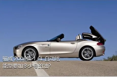 骊威 2008款 1.6L 自动炫能型要加多少号的油？