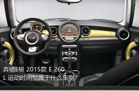 奔驰E级 2015款 E 260 L 运动时尚型属于什么车型？