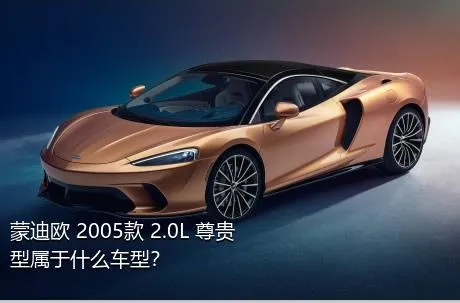 蒙迪欧 2005款 2.0L 尊贵型属于什么车型？