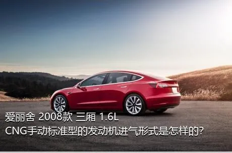 爱丽舍 2008款 三厢 1.6L CNG手动标准型的发动机进气形式是怎样的？