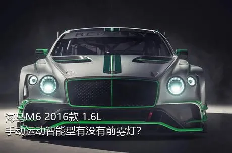 海马M6 2016款 1.6L 手动运动智能型有没有前雾灯？