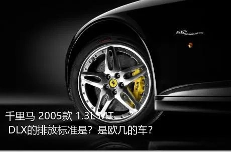 千里马 2005款 1.3L MT DLX的排放标准是？是欧几的车？