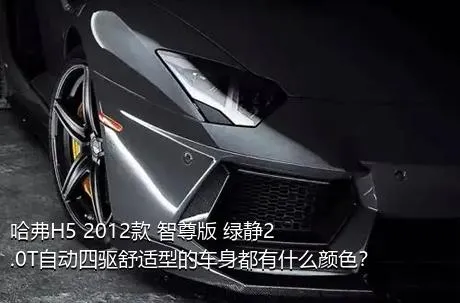 哈弗H5 2012款 智尊版 绿静2.0T自动四驱舒适型的车身都有什么颜色？