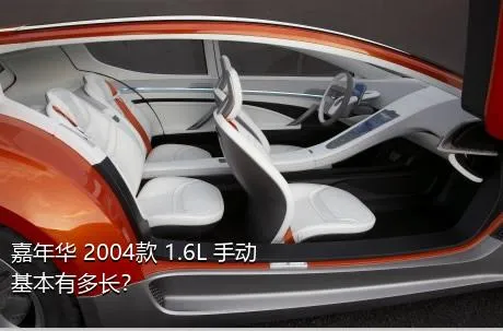 嘉年华 2004款 1.6L 手动基本有多长？