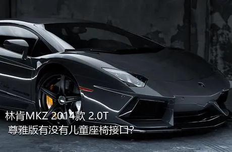 林肯MKZ 2014款 2.0T 尊雅版有没有儿童座椅接口？