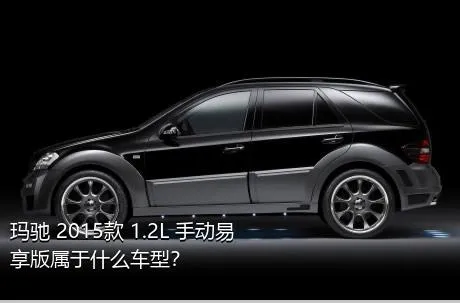 玛驰 2015款 1.2L 手动易享版属于什么车型？