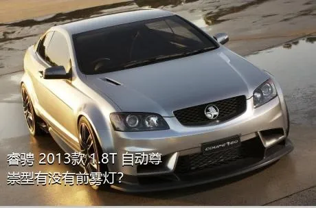 睿骋 2013款 1.8T 自动尊崇型有没有前雾灯？