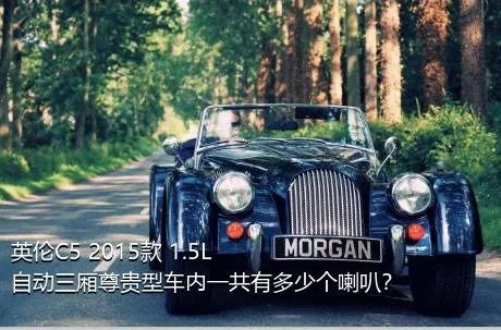 英伦C5 2015款 1.5L 自动三厢尊贵型车内一共有多少个喇叭？