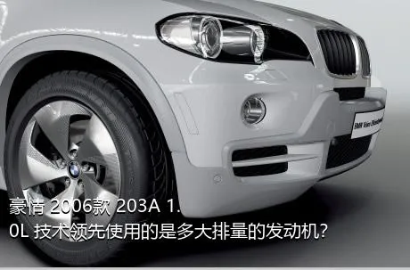 豪情 2006款 203A 1.0L 技术领先使用的是多大排量的发动机？