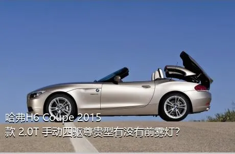 哈弗H6 Coupe 2015款 2.0T 手动四驱尊贵型有没有前雾灯？