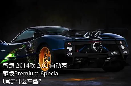 智跑 2014款 2.0L 自动两驱版Premium Special属于什么车型？