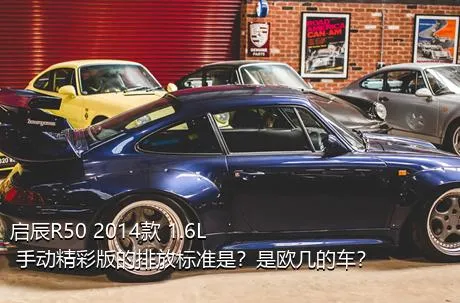 启辰R50 2014款 1.6L 手动精彩版的排放标准是？是欧几的车？