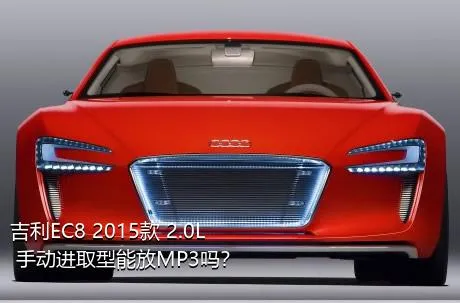 吉利EC8 2015款 2.0L 手动进取型能放MP3吗？