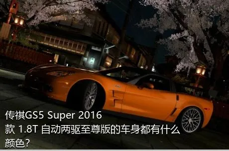 传祺GS5 Super 2016款 1.8T 自动两驱至尊版的车身都有什么颜色？