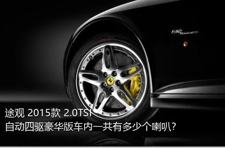 途观 2015款 2.0TSI 自动四驱豪华版车内一共有多少个喇叭？