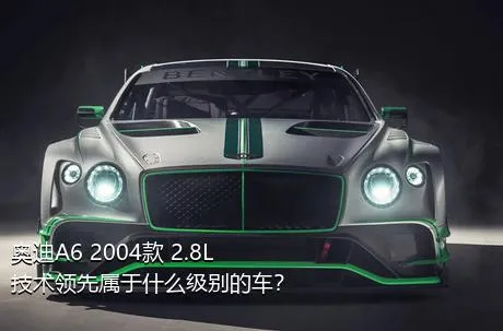 奥迪A6 2004款 2.8L 技术领先属于什么级别的车？