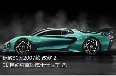 标致307 2007款 改款 2.0L 自动尊享版属于什么车型？