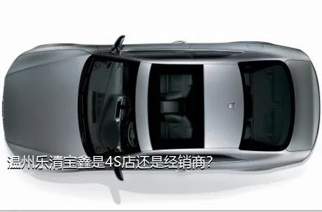 温州乐清宝鑫是4S店还是经销商？