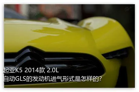 起亚K5 2014款 2.0L 自动GLS的发动机进气形式是怎样的？