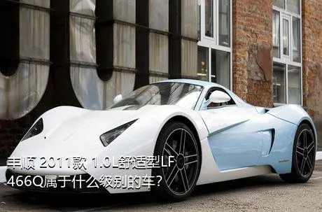 丰顺 2011款 1.0L舒适型LF466Q属于什么级别的车？