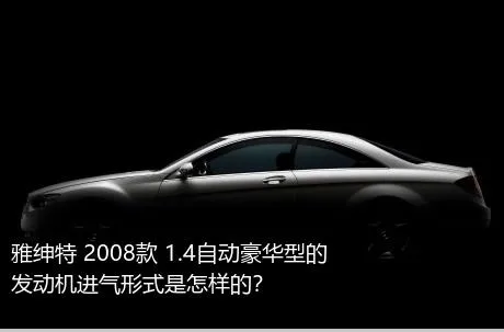 雅绅特 2008款 1.4自动豪华型的发动机进气形式是怎样的？