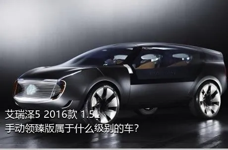 艾瑞泽5 2016款 1.5L 手动领臻版属于什么级别的车？