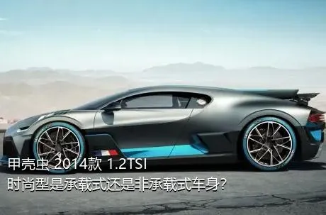 甲壳虫 2014款 1.2TSI 时尚型是承载式还是非承载式车身？