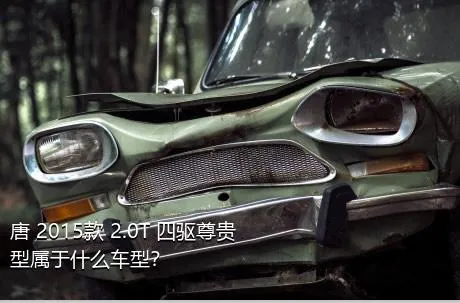 唐 2015款 2.0T 四驱尊贵型属于什么车型？