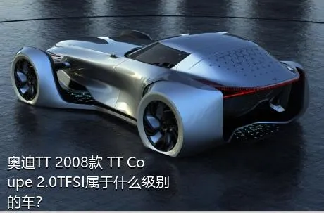 奥迪TT 2008款 TT Coupe 2.0TFSI属于什么级别的车？