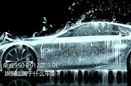 荣威950 2012款 3.0L 旗舰版属于什么车型？