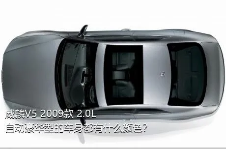 威麟V5 2009款 2.0L 自动豪华型的车身都有什么颜色？