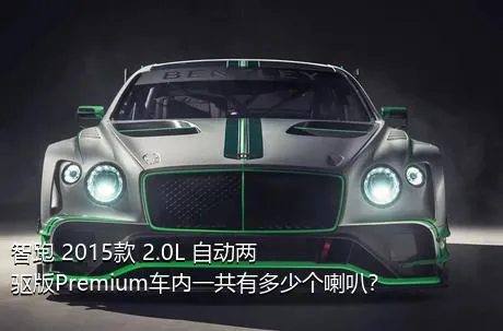 智跑 2015款 2.0L 自动两驱版Premium车内一共有多少个喇叭？