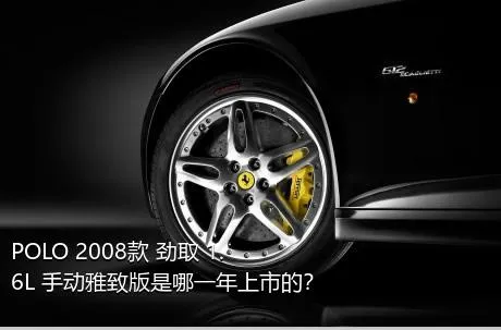 POLO 2008款 劲取 1.6L 手动雅致版是哪一年上市的？