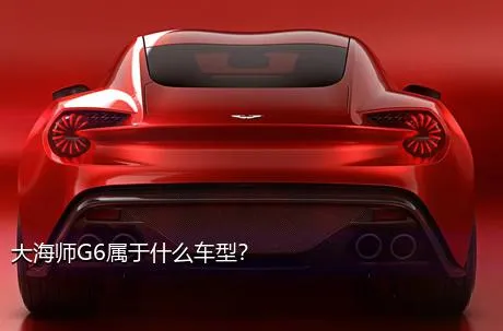 大海师G6属于什么车型？