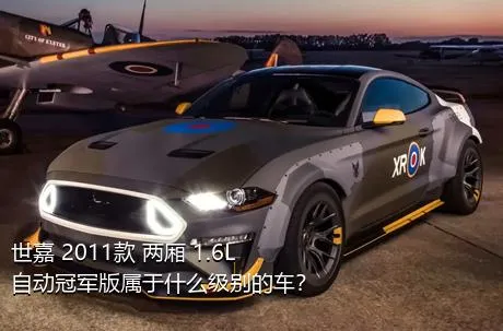 世嘉 2011款 两厢 1.6L 自动冠军版属于什么级别的车？