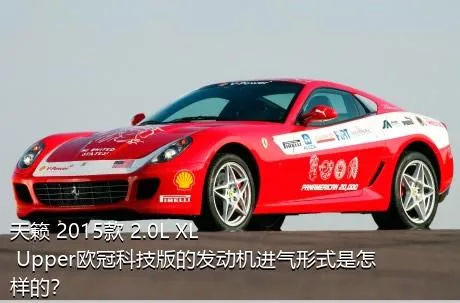 天籁 2015款 2.0L XL Upper欧冠科技版的发动机进气形式是怎样的？