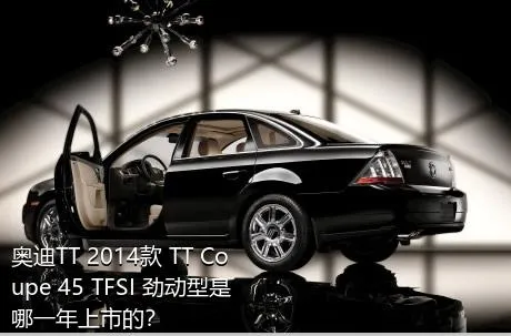 奥迪TT 2014款 TT Coupe 45 TFSI 劲动型是哪一年上市的？