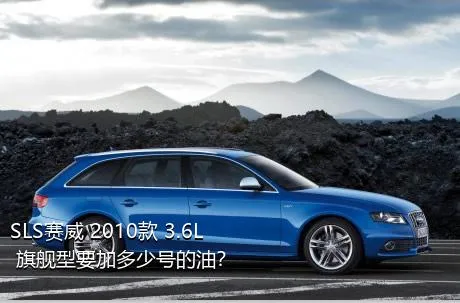 SLS赛威 2010款 3.6L 旗舰型要加多少号的油？